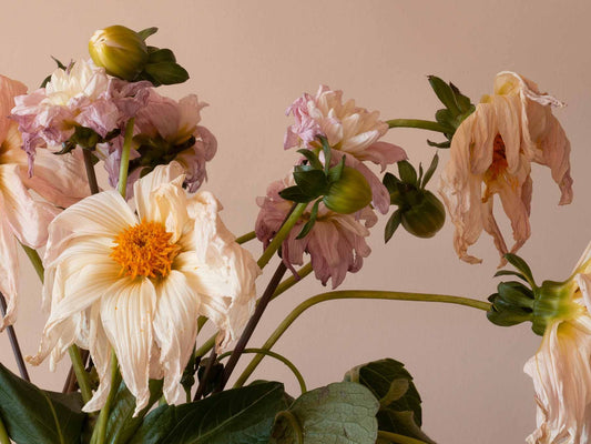 Preserving Your Flower Arrangements: 10 Tips for Longevity